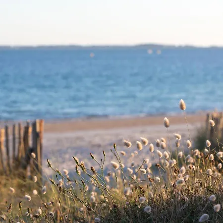 Ostrea By Interhome * Carnac